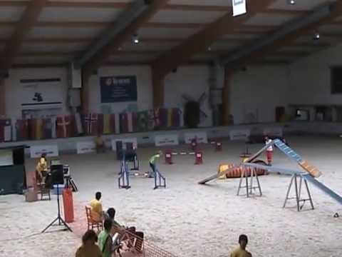 Polona Bonaç & Kisa Individual Agility Large EO 27 07 2013