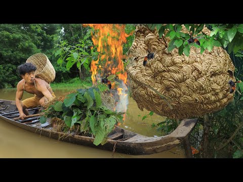 life in jungle - Eating cucumber meet wasp nest