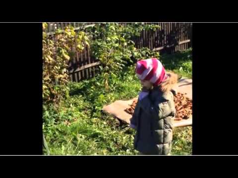 Выросла репка большая прибольшая