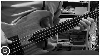 Video thumbnail for Wal MK1 Fretless Bass - Johannes Leitner by BassTheWorld.com