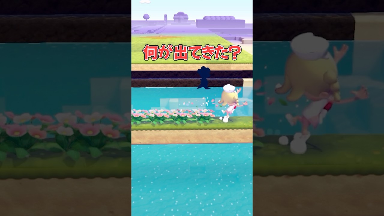 何が出てきたかわかる？【ぽこあポケモン】