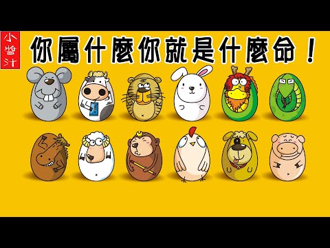 09年属什么