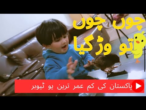 Yumna's Little Farm Fun: Toddler Joy with Chicks and Lots of Love! 🚜👧🐤