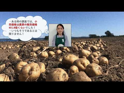 模擬講義「じゃがいも値段決定」