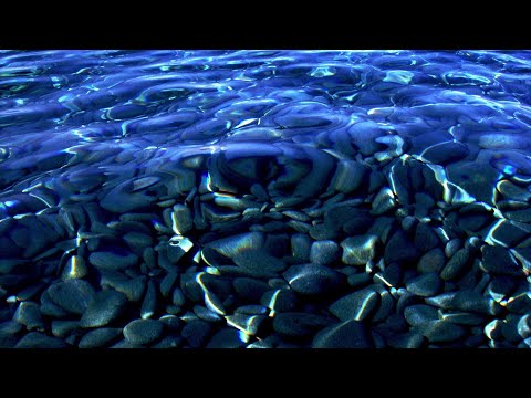 15 MINUTES OF FLOWING RIVER WATER and Nature Sounds - Mindfulness Meditation - 3