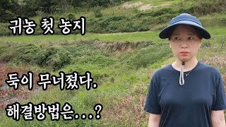 귀농 첫 농지 사고발생  -참동ep 11