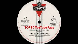 Fine Young Cannibals - She Drives Me Crazy (A David Z Remix Version)