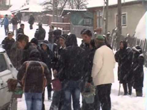 BOISOARA.DE SF.ION.wmv