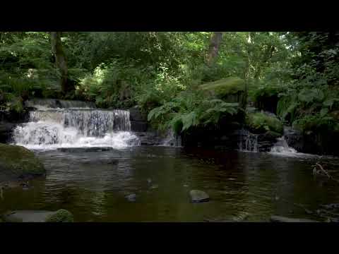 Auka - Rivelin (Official Video)