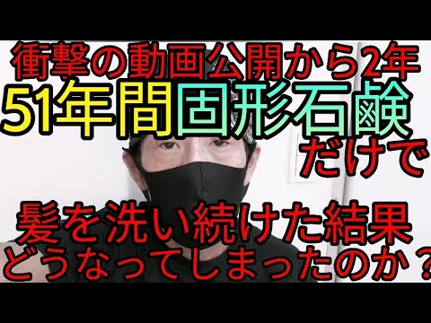 園芸 インドの石鹸メーカー、ソープツリー、ソープナッツ
