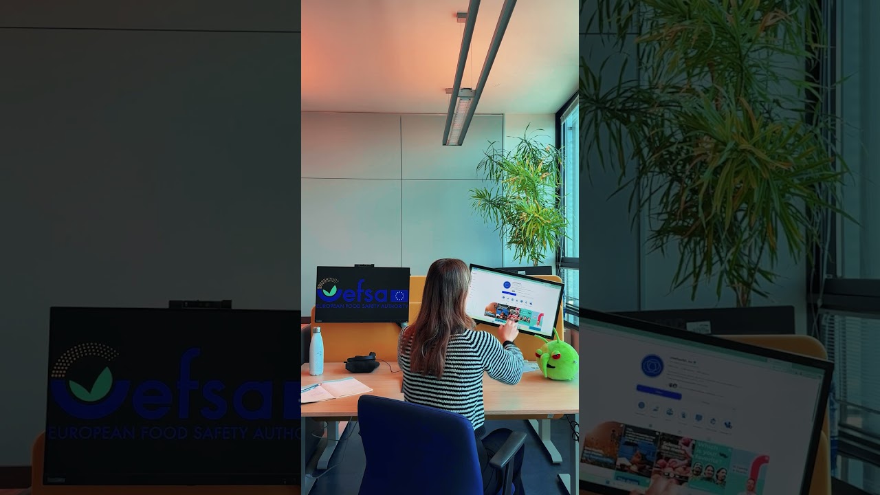 Day In The Life of an EFSA Trainee