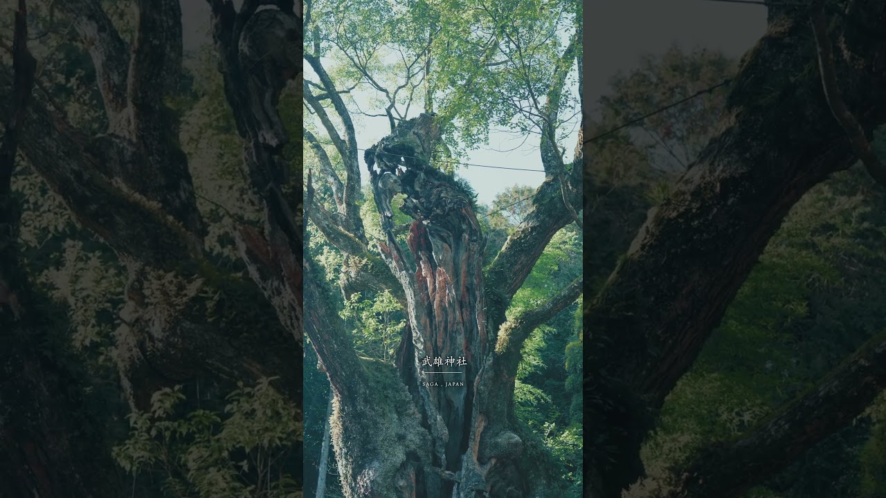 【Japan】まるでジブリ映画に出てきそうな光景です…