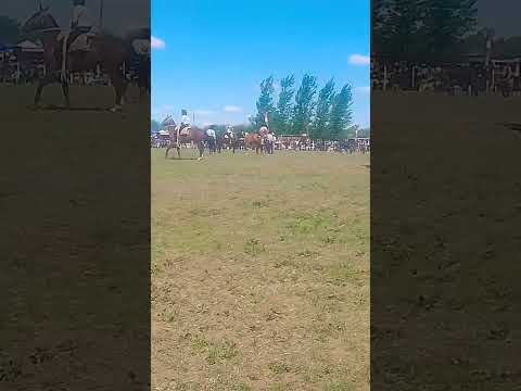 47° fiesta de la tradición buena esperanza San Luis