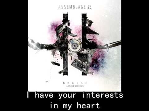 Assemblage 23 - The Last Mistake (lyrics)