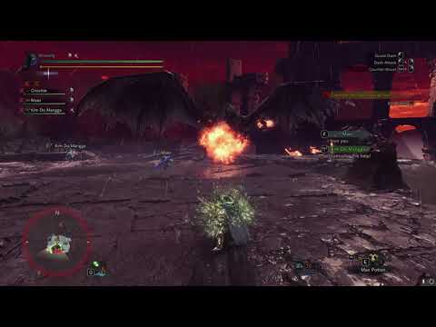 Proof You Can Block Fatalis Fire for Someone Else