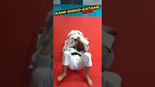 Download lagu kami shiho gatame scaping (judo) mp3