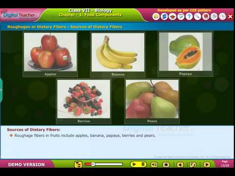 Roughages or Dietary Fibers Sources of Dietary Fibers, Class 7 Biology