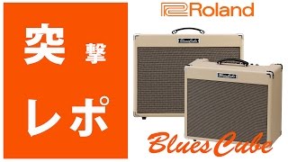 Roland(ローランド) ／ Blues Cube Stage 60w - ギターアンプ - の激安 