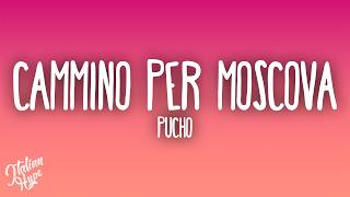 Pucho - CAMMINO PER MOSCOVA