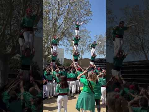 video-cover