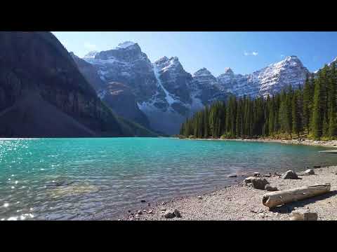 MÚSICA REIKI RELAJANTE para Sanar Cuerpo, Mente y Alma | Frecuencia Sanadora ELIMINA Miedos y Culpa