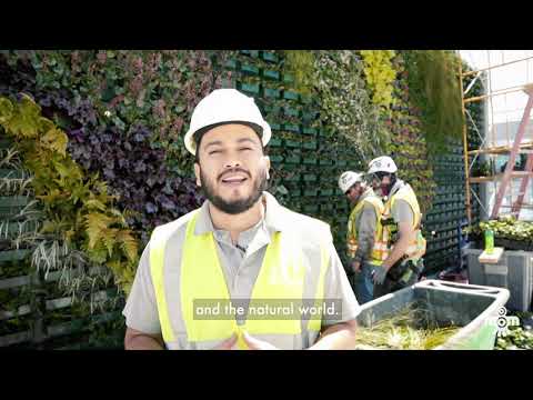 LARGEST GREEN LIVING WALLS IN NASHVILLE