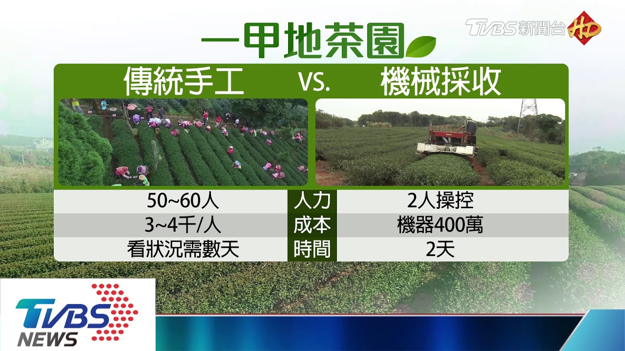 大數據當道! 「科技採茶」研發APP遠端監控