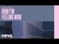 Lewis Capaldi How I M Feeling Now Official Lyric Video
