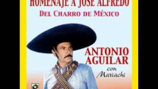 Antonio Aguilar, El Jinete.wmv