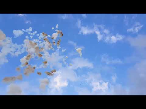 Adelfia 2018, Bomba da Tiro, F.lli Panella