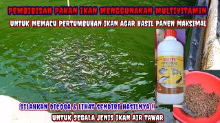 Download lagu PROSES PEMBIBISAN PAKAN IKAN MENGGUNAKAN VITAMIN ?? mp3 Download lagu PROSES PEMBIBISAN PAKAN IKAN MENGGUNAKAN VITAMIN ?? mp3