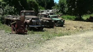 Dragging Classic Trucks Out of The Brush (CTR-155) Dragging Classic Trucks Out of The Brush (CTR-155)
