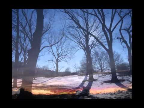 Fooo by Rika Ikeda and Berklee World Strings