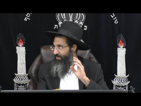 הלכות שבת - קעב' - הכנה והדחת כלים 🍽 משנה ברורה סימן שכג | חלק 586 | הרב שי עובד