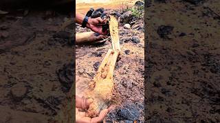 Download lagu bambu 91l4 bondol b4d0t berisi sepa5ang berli4n #shortvideo #shorts mp3