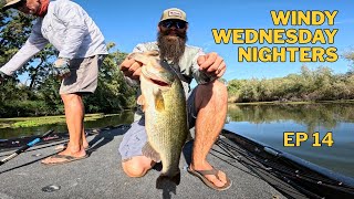 Windy Wednesday Nighters Ep 14- In The MONEY!!!