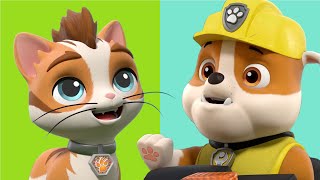 The Cat Pack Stop a Giant Ball of Yarn 🧶 + More Cartoons for Kids | PAW Patrol Episode