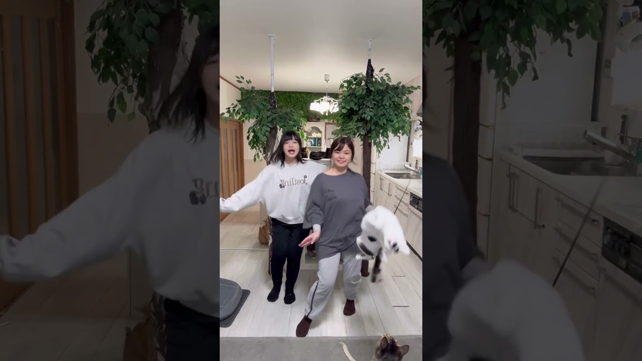 今年もありがとうございます。