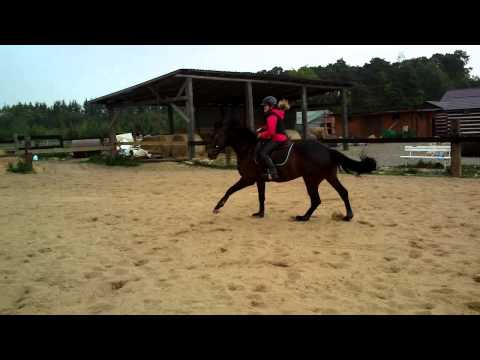 Grim in a bad mood :)