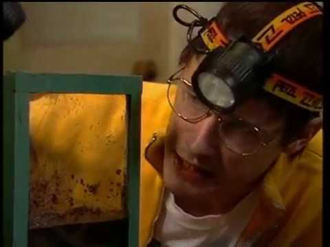 Nile city Sudden Novemberkåsan