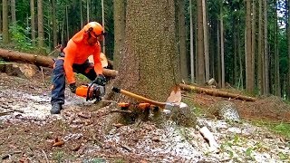 STIHL MS 462 C-M