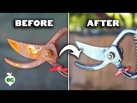 Easiest Way to Restore Rusty Garden Tools