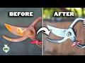 Easiest Way To Restore Rusty Garden Tools
