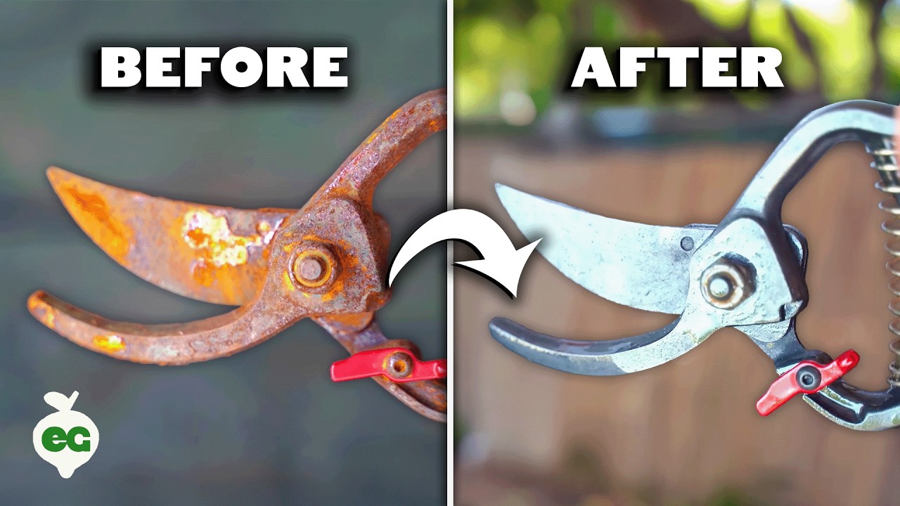 Easiest Way to Restore Rusty Garden Tools