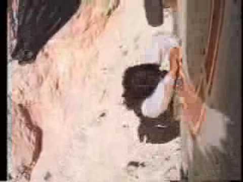 Nxfxtxex - Motherfuck You & John Wayne (music video)