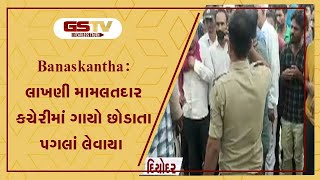 Banaskantha : લાખણી મામલતદાર કચેરીમાં ગાયો છોડાતા પગલાં લેવાયા | Gstv Gujarati News