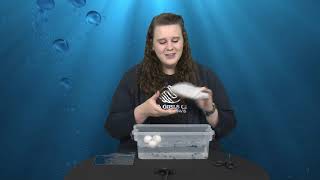 BOYS AND GIRLS CLUB Ocean Cleaner