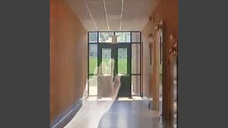 Cover art for Burn It Down