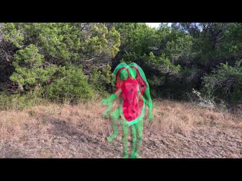 Jerry David DeCicca /// WATERMELON (official video)