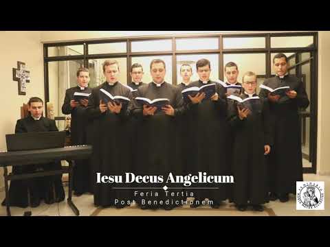 Iesu Decus Angelicum